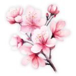 Haiku Traditions